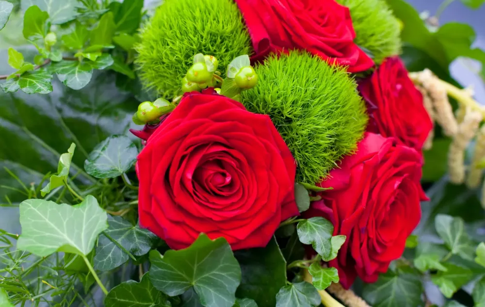 rose rouge